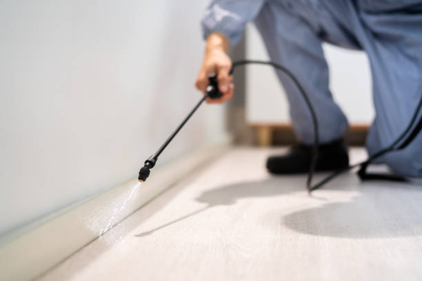 Licensed Pest Control service in Mullins, SC - Show Me Pest Control