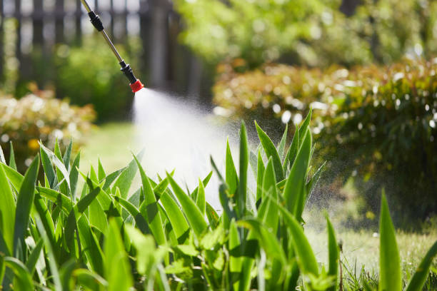 Tamper-Resistant Bait Stations for Rodents in Mullins