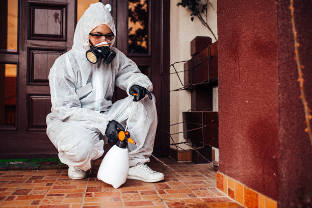 Attic and Crawl Space Rodent Treatment in Mullins